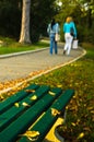 Autumn scenery, yellow leaves on a green bench in a park Royalty Free Stock Photo