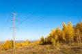 Autumn scenes. Energo. Concept of green energy, power plant, close high-voltage power lines. power distribution station. Royalty Free Stock Photo