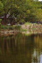 Autumn scenes of public garden