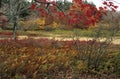 Autumn Scenic @ Dolly Sods Royalty Free Stock Photo