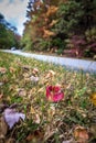 Autumn scenic drive along blue ridge parkway Royalty Free Stock Photo