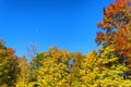 Autumn Scenic Drive along The Blue Ridge Parkway in North Carolina Royalty Free Stock Photo