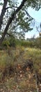 Autumn foliage near Lake in Fort Collins,Colorado