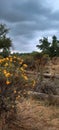 Autumn foliage near Lake in Fort Collins,Colorado