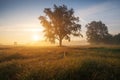 Autumn scenic landscape Royalty Free Stock Photo