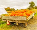 Wagon filled with orange pumpkins on hill in Fall