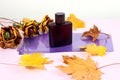 Autumn scents in a men\'s bottle of eau de toilette on a pastel background, yellow foliage and a bouquet of decorative roses