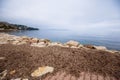 Autumn sea landscape with dry posidonia oceanica Royalty Free Stock Photo