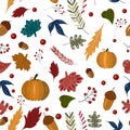 Autumn seamless patern with pumpkin, fall leaves, acorns Royalty Free Stock Photo