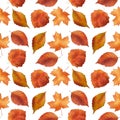 Autumn leaves seamless pattern. Autumn leaves watercolor illustration. Maple leaf painting