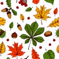 Autumn seamless pattern with acorns, chestnuts, hazelnuts, berries and colorful leaves isolated on white background. Hand drawn Royalty Free Stock Photo