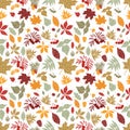 Autumn Seamless Pattern