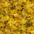 Autumn seamless pattern background