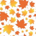 Autumn Seamless Pattern Background Yellow Maple Leaves Ornament Fall Season Royalty Free Stock Photo