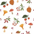 Autumn seamless pattern. Berries and mushrooms. Cozy warm background. Perfect for printing, textiles, wrapping paper. Vector