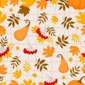 Autumn seamless pattern. Bunches rowan with orange pumpkin on light checkered background with fall variegated leaves Royalty Free Stock Photo