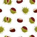 Autumn seamless pattern. Chestnuts with peels.
