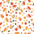 Autumn seamless pattern. Colorful leaves, flowers, and berries isolated on white. Fall theme vector illustration Royalty Free Stock Photo
