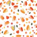 Autumn seamless pattern. Colorful leaves, flowers, and berries isolated on white. Fall theme vector illustration. Background for Royalty Free Stock Photo
