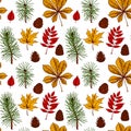 Autumn seamless pattern with cones, leaves, Christmas tree branches isolated on white background. Hand drawn colored sketch vector Royalty Free Stock Photo