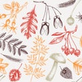 Autumn seamless pattern. Fall leaves background. Dried flowers sketches. Hand-drawn dried plant, fall leaves, mushrooms backdrop.