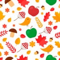 Autumn seamless pattern. Fall leaves, flowers, berries, acorns, birds, mushrooms, apples, isolated on white. Vector background for Royalty Free Stock Photo