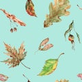 Autumn seamless pattern with falling maple, birch, oak leaves, wild rose, linden and maple seeds. Hand-drawn watercolor. Royalty Free Stock Photo