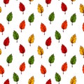 Autumn seamless pattern with green, red, yellow and orange leaves isolated on white background. Hand drawn colored sketch vector Royalty Free Stock Photo