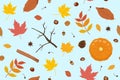 Autumn seamless pattern Royalty Free Stock Photo