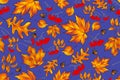 Autumn seamless pattern with leaf, autumn leaf background. Abstract leaf texture. Cute backdrop. Leaf fall. Colorful leaves. Dark Royalty Free Stock Photo