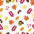 Autumn seamless pattern: leaves, acorns, berries and chestnuts