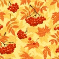 Autumn seamless pattern with leaves and ashberry. Vector illustration.