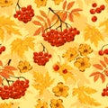 Autumn seamless pattern with leaves, flowers and ashberry. Vector illustration.