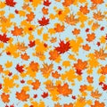 Autumn seamless pattern