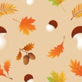Autumn seamless pattern with maple leaves,acorns,oak leaves,rowan leaves,ceps Royalty Free Stock Photo