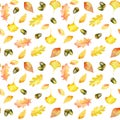 Autumn seamless pattern of oak leaves, ginkgo tree, acorns painted in watercolor