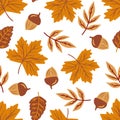 Autumn seamless pattern oak maple leaves and acorns, fall season background Royalty Free Stock Photo