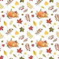 Fall harvest themed seamless pattern. Watercolor hand painted orange pumpkins, berries and foliage on white background. Royalty Free Stock Photo