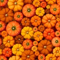 Autumn seamless pattern with orange pumpkins. Vector fall print Royalty Free Stock Photo