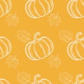 Autumn seamless pattern with pumpkins and leaves. Vector hand drawn autumn background