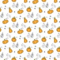 Autumn seamless pattern with pumpkins. Pumpkin of different shapes and colors. Thanksgiving design. Vector illustration Royalty Free Stock Photo