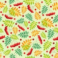 Autumn seamless pattern with rowan berries and orange green leaves on light green background Royalty Free Stock Photo
