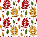 Autumn seamless pattern with rowan leaves and berries isolated on white background. Hand drawn colored sketch vector illustration Royalty Free Stock Photo