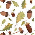 Autumn seamless pattern. Various acorns and oak leaves. Royalty Free Stock Photo