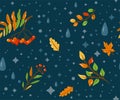 Autumn seamless pattern vector background with color rowan, water drops, fall leaves, floral plants on dark backdrop Royalty Free Stock Photo