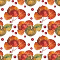 Autumn seamless pattern with watercolor plant food. Green pumpkin, orange and yellow branch leaves, red berry on white Royalty Free Stock Photo
