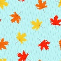 Autumn seamless pattern, yellow and red maple leaves fall in autumn, against the background of rain Royalty Free Stock Photo