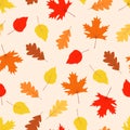 Autumn seamless pattern, yellow and red maple oak and aspen leaves fall in autumn. Royalty Free Stock Photo