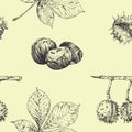 Autumn seamless vector pattern with chestnut leaves and nuts. Vintage fall seasonal decor. Hand drawn illustration