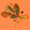Autumn season arrangement made of four cashew nuts and decay leaf. Flat lay concept with orange backbround